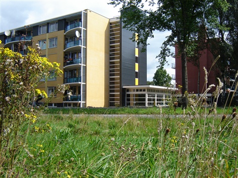 woningcorporatie-apeldoorn-pluktuin-bewoners